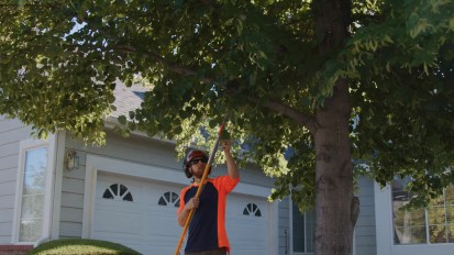 Arbortec Tree Service – Client&nbsp;Testimonial
